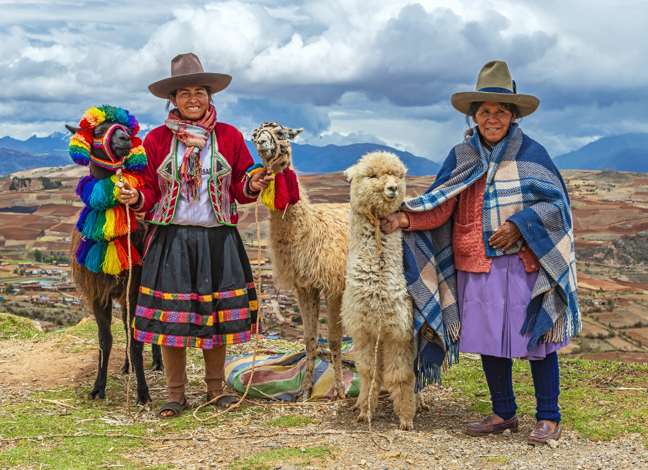 Rural portrait of Quechua Indigenous Women in traditional clothes with their domestic animals, two llama and one alpaca, Sacred Valley, Cusco, Peru.